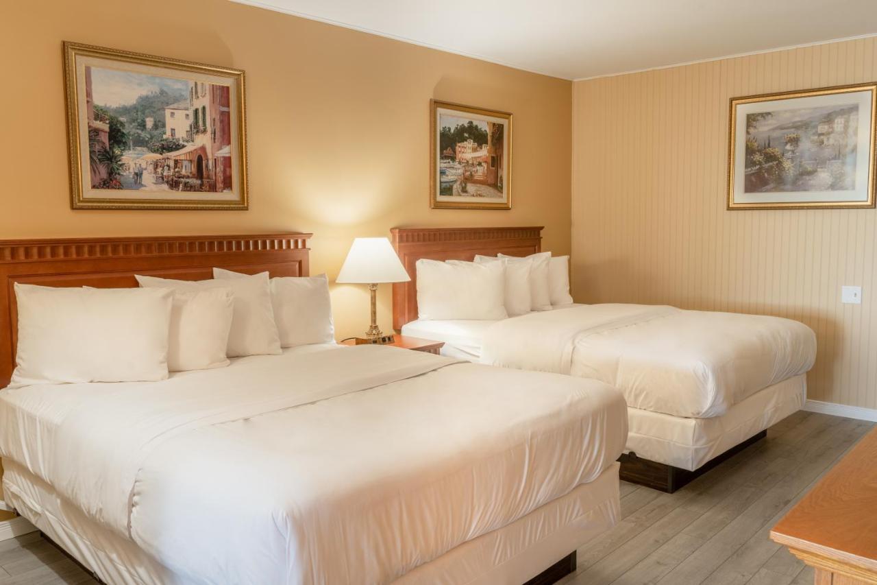 Hotel Motel La Vigie Matane Dış mekan fotoğraf