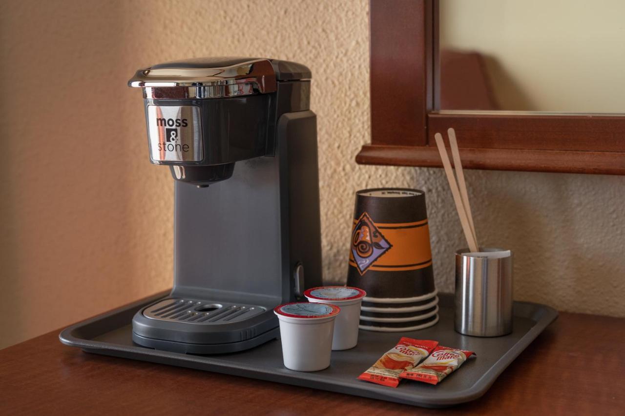Hotel Motel La Vigie Matane Dış mekan fotoğraf